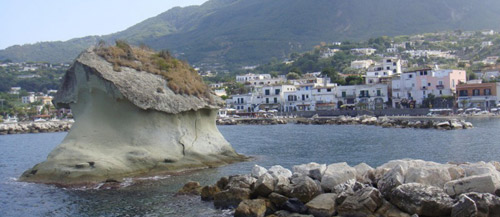 Il famoso fungo a Lacco Ameno