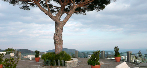 Serrara la piazzetta del belvedere con il grande pino